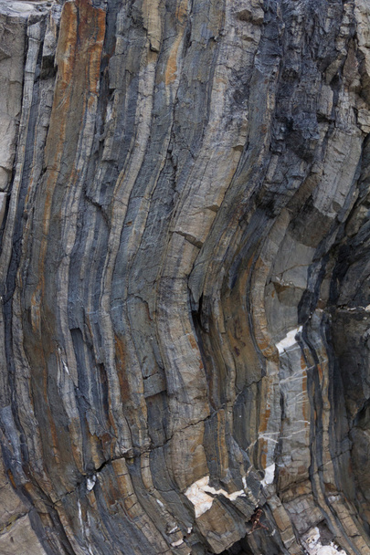 Roca metamórfica encontrada en CInque Terre
 - Foto, Imagen