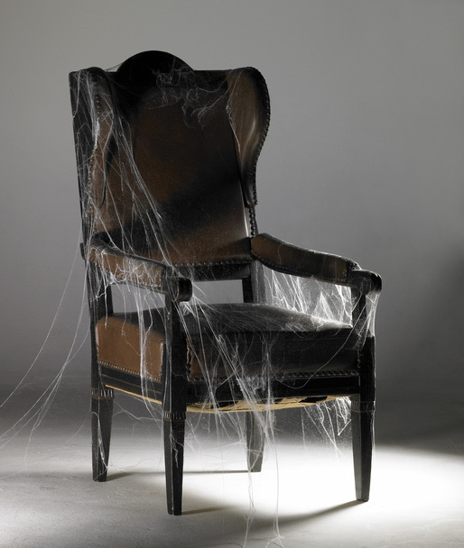 Коричневий крісло та павутиння - Фото, зображення