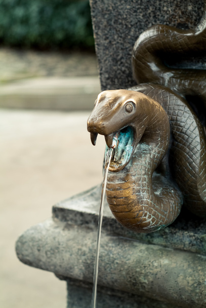 Primavera de serpiente
 - Foto, imagen