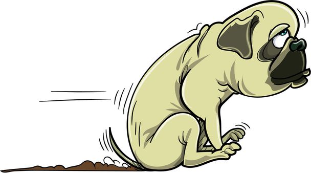 Cartoon pug dog schrapen de zwerver - Vector, afbeelding