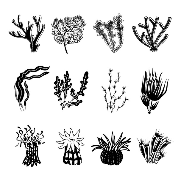 Set nero di corallo
 - Vettoriali, immagini