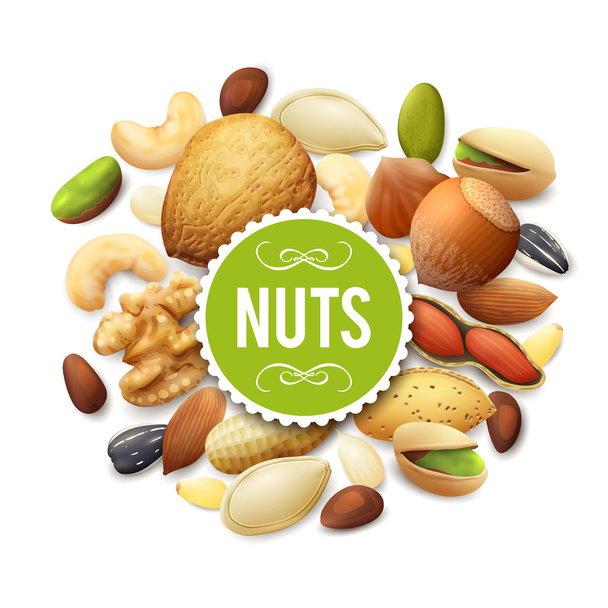 Nut Collection Illustration - Vector, Image