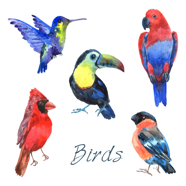 Tropických ptákù akvarel ikony nastavit - Vektor, obrázek