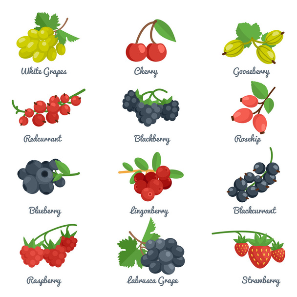 Berries Flat Icons Set - Vettoriali, immagini