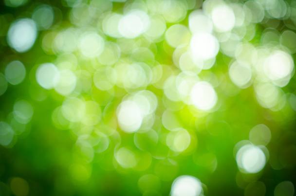 Абстрактний зелений розмитий фон
  - Фото, зображення