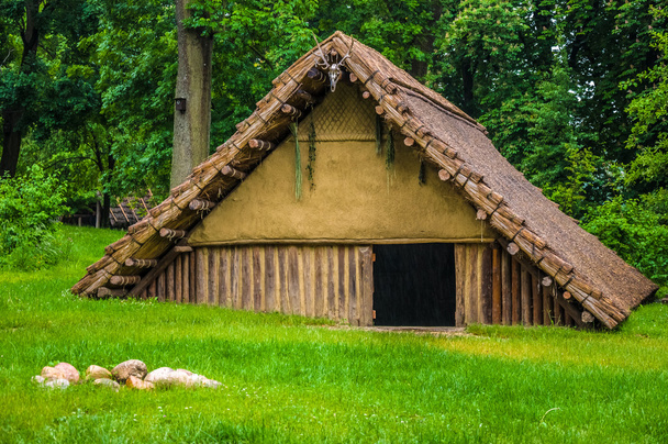 Oude hut in museum Mamuz Schloss Asparn an der Zaya, Oostenrijk - Foto, afbeelding