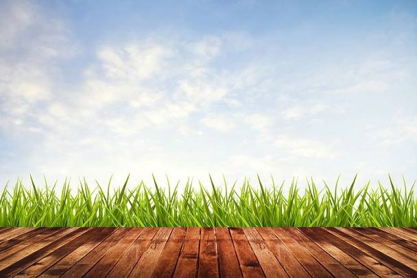 green grass with sky and wood floor - Fotografie, Obrázek