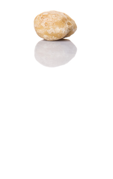 Candlenuts πάνω από το λευκό φόντο - Φωτογραφία, εικόνα