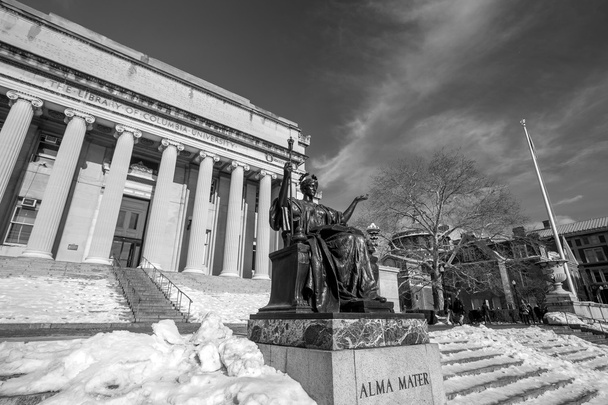 Columbia Üniversitesi  - Fotoğraf, Görsel