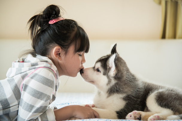 kis-ázsiai lány csók egy szibériai husky kiskutya - Fotó, kép