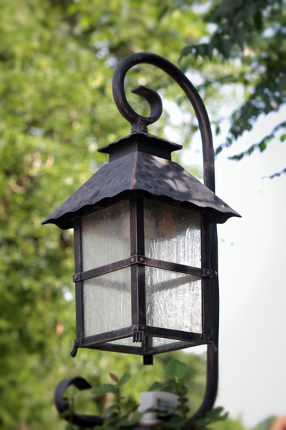 Lantern in the park and trees. - Photo, Image