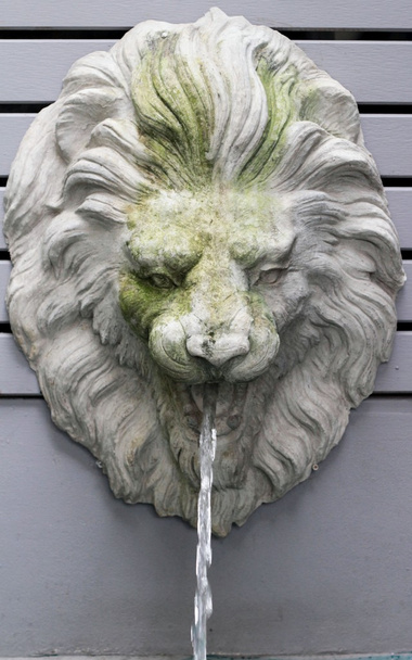 statua di leone che sputa acqua - stile vintage
 - Foto, immagini