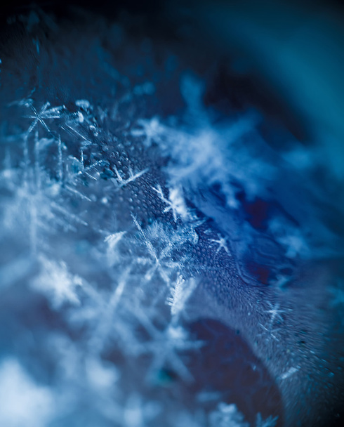 Supermacro of Snowflakes - Photo, Image