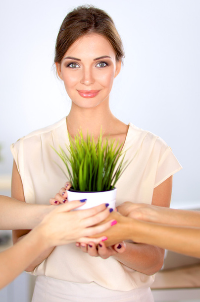 Beautiful woman holding pot with a plant, standing - Zdjęcie, obraz