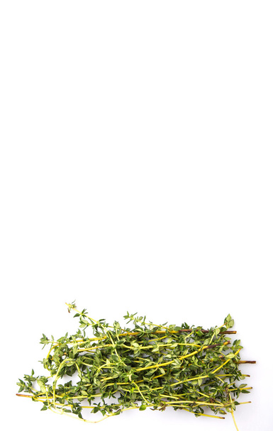 Листя трави чебрецю
 - Фото, зображення