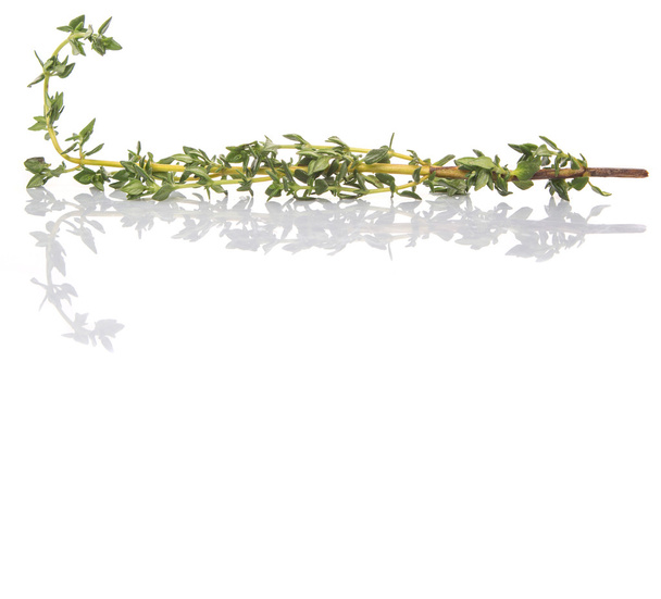 Gyógynövények kakukkfű levelek fölött fehér háttér - Fotó, kép