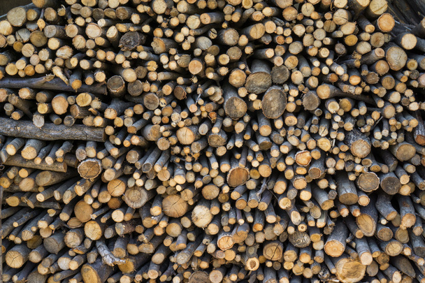 firewoods stacked - Photo, Image