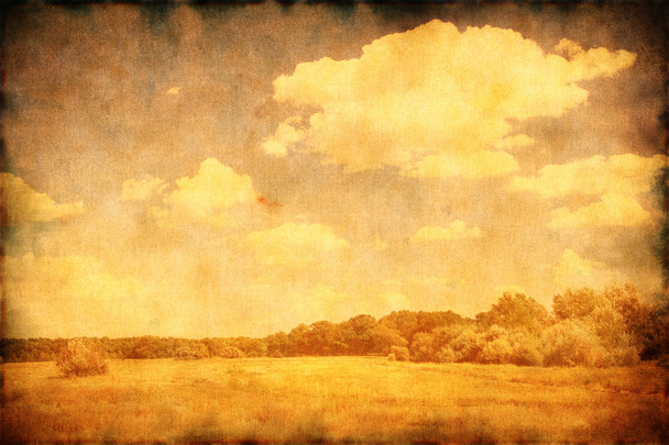 Grunge image of summer landscape. - Photo, Image