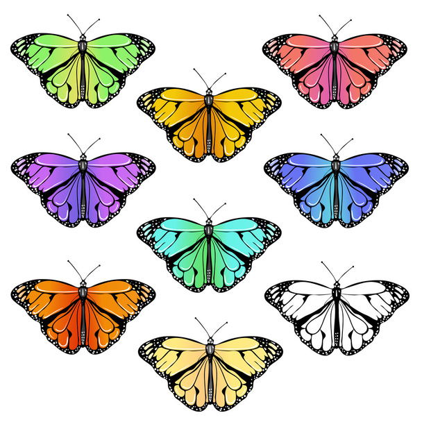 Conjunto de mariposas
 - Vector, imagen
