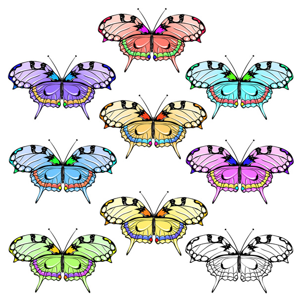 σύνολο των πεταλούδων - Διάνυσμα, εικόνα