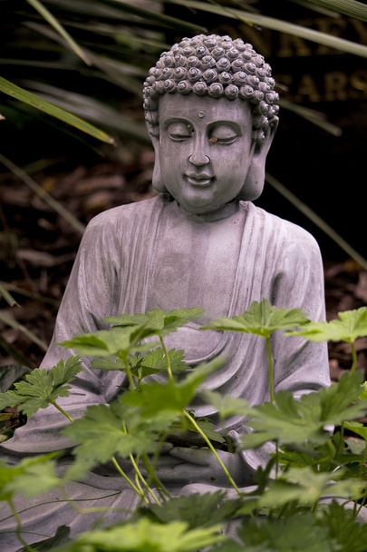 статуя Будды - Фото, изображение