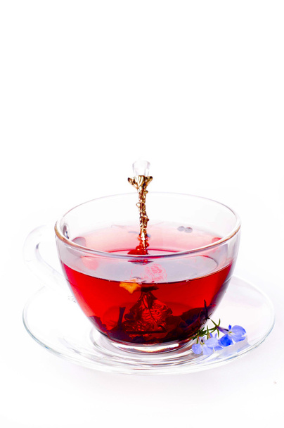 Filiżanka herbaty z teabag nad białym   - Zdjęcie, obraz