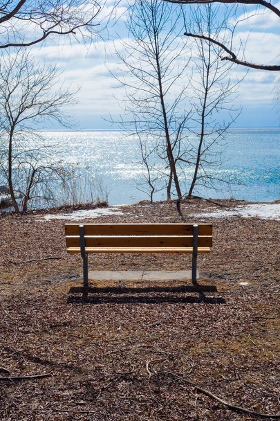 Empty wood bench at lake and bare trees in winter. - Photo, Image