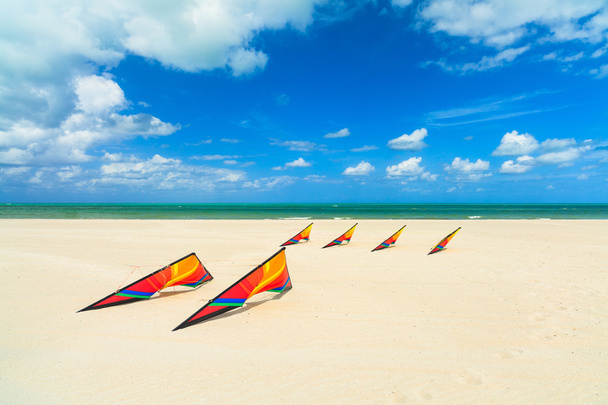 Beach kites - Photo, Image