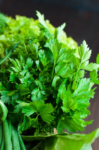 Свежие зеленые с салатом, мятой, укропом и петрушкой, весенний лук
 - Фото, изображение