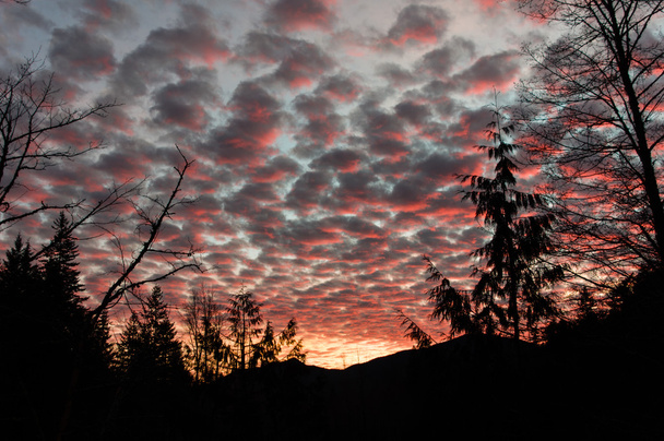 断続的な雲が赤い夕日のシーン - 写真・画像