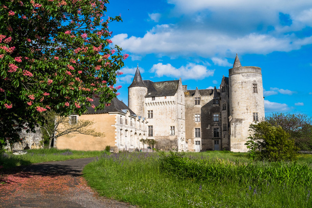 Burg Montsabert - Foto, Bild