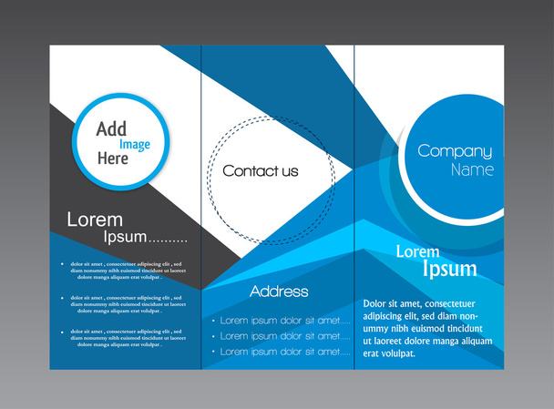 Modern Company Brochure - Vector, Image