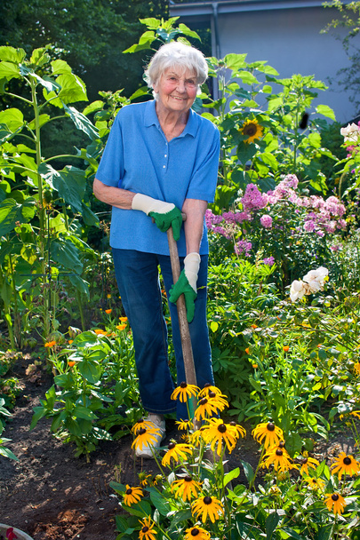 Elderly Woman Cultivating Garden - Valokuva, kuva