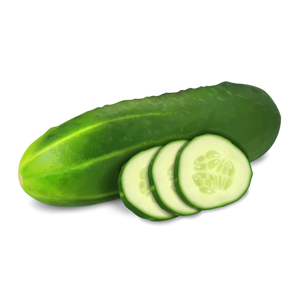 komkommer - Vector, afbeelding