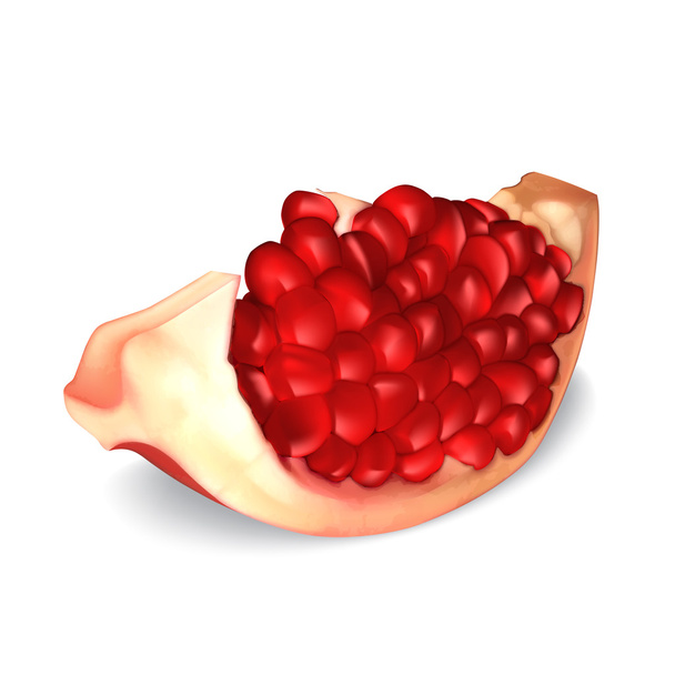 Fresh pomegranate - Vector, Image