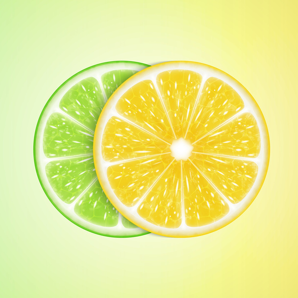 Lemon and lime slices - Vector, Image