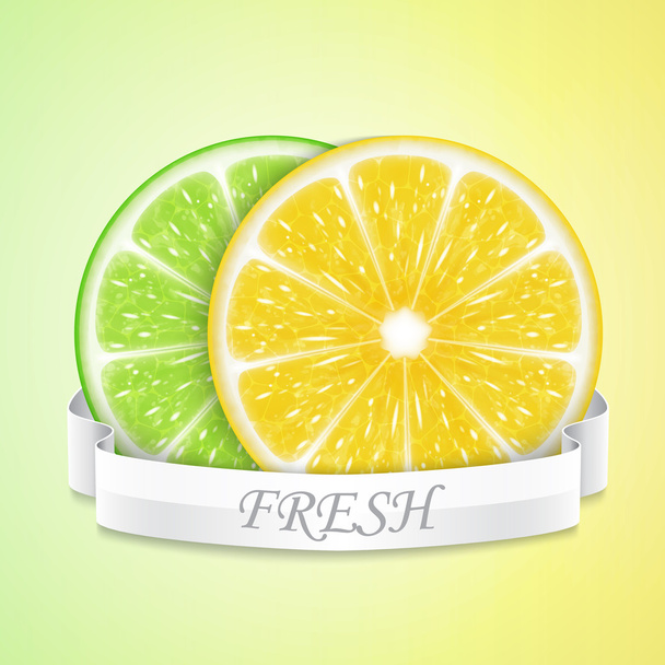 Lemon and lime slices - Vector, Image