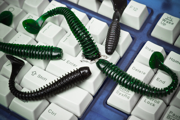 gusano informático que ataca el sistema informático
 - Foto, imagen