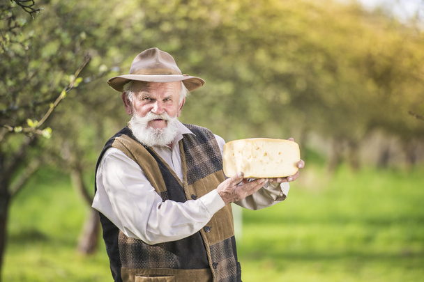 Senior farmer with organic cheese - Fotoğraf, Görsel