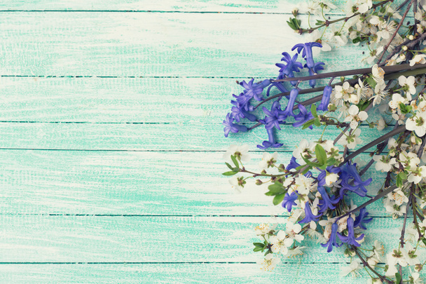 Flowering tree branches and blue flowers - Foto, Imagem