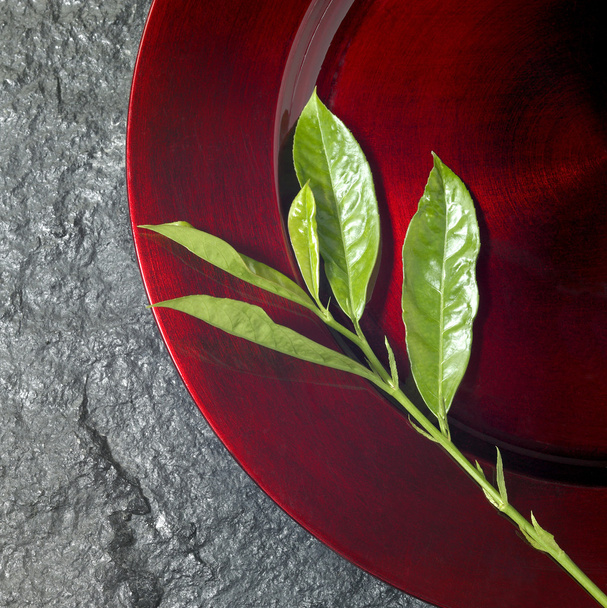 Круглая красная тарелка и зеленая веточка
 - Фото, изображение
