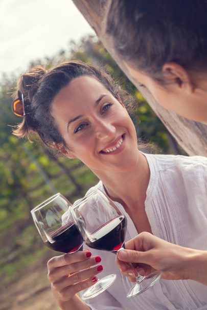 Dos alegres mujeres bebiendo vino
 - Foto, imagen