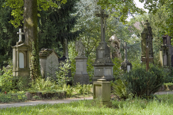 Antiguo cementerio de Friburgo
 - Foto, Imagen