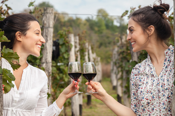 Two Young Women Drinking Wine - Φωτογραφία, εικόνα