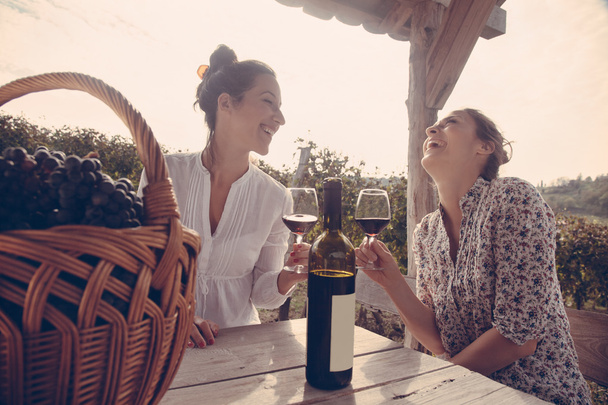 Two Cheerful Female Drinking Wine - Fotoğraf, Görsel