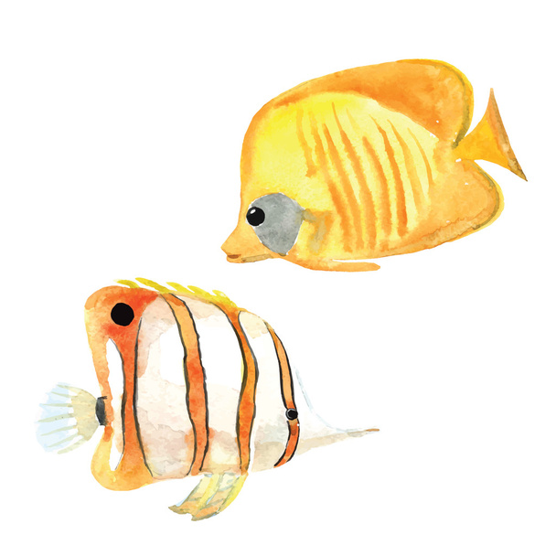 handgezeichnete Aquarellfische - Vektor, Bild