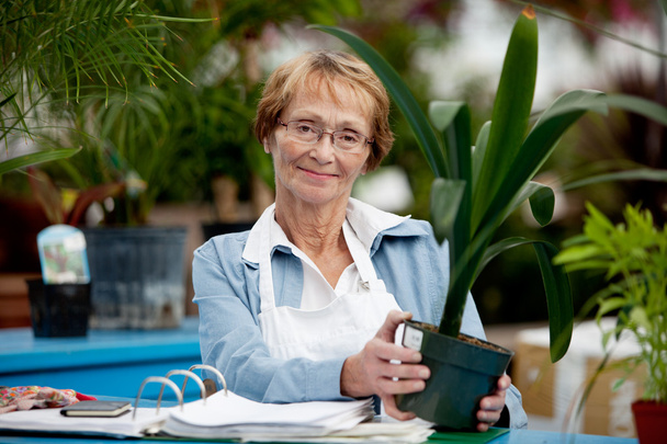 Senior Woman Working - Foto, Imagem