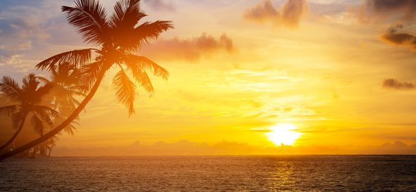 Art Kaunis auringonnousu yli trooppisen rannan
 - Valokuva, kuva