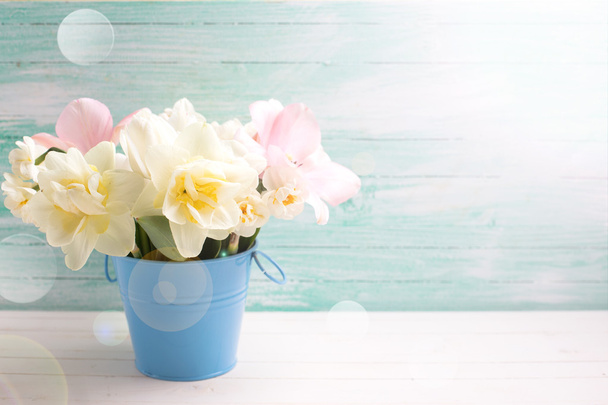 Background with fresh narcissus and tulip flowers - Foto, imagen