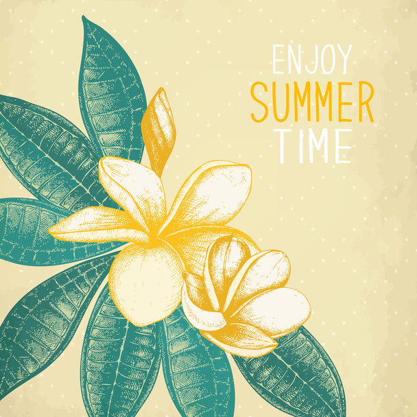 enjoy summer time with Plumeria flowers - Vetor, Imagem